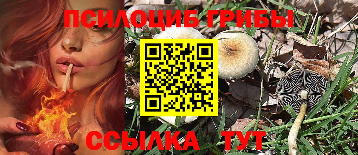 Джанкой  Псилоцибиновые грибы Cubensis  Псилоцибиновые грибы Psilocybe  купить   Вход с VPN 